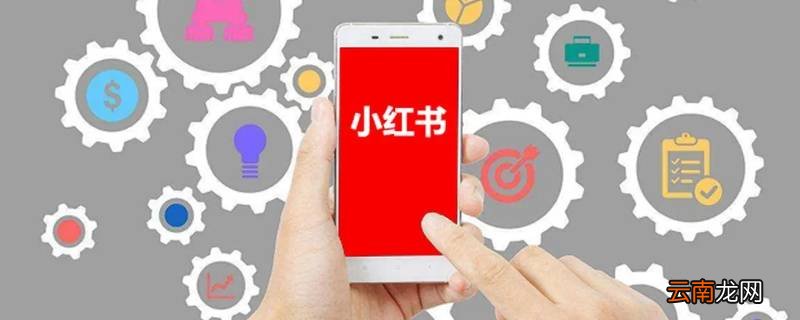 小红书评论被吞多久恢复