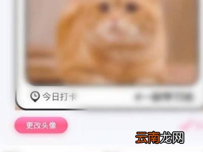 微信头像框怎么设置