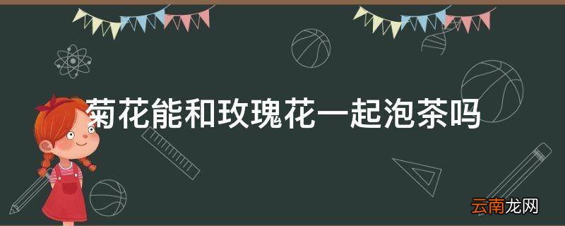 菊花能和玫瑰花一起泡茶吗