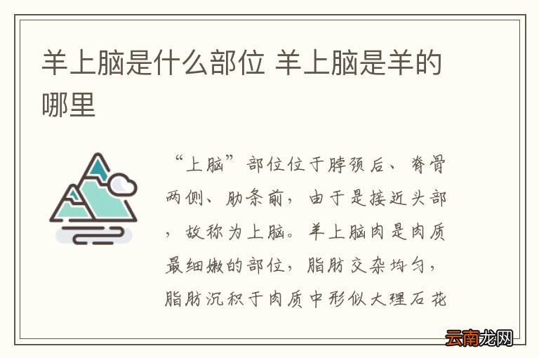 羊上脑是什么部位 羊上脑是羊的哪里