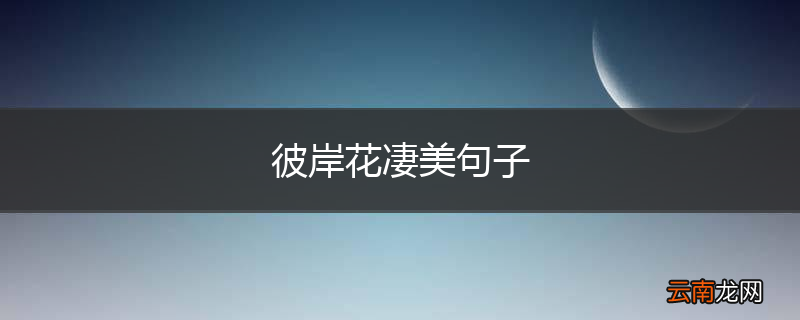 彼岸花凄美句子