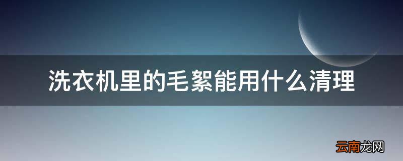 洗衣机里的毛絮能用什么清理