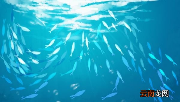 《海底两万里》主要内容 《海底两万里》的主要内容概括50字