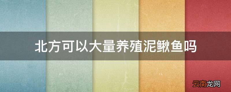 北方可以大量养殖泥鳅鱼吗