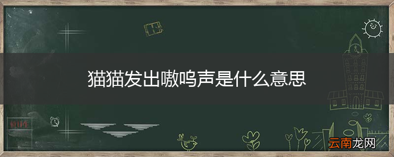 猫猫发出嗷呜声是什么意思