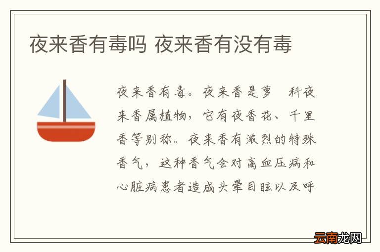 夜来香有毒吗 夜来香有没有毒
