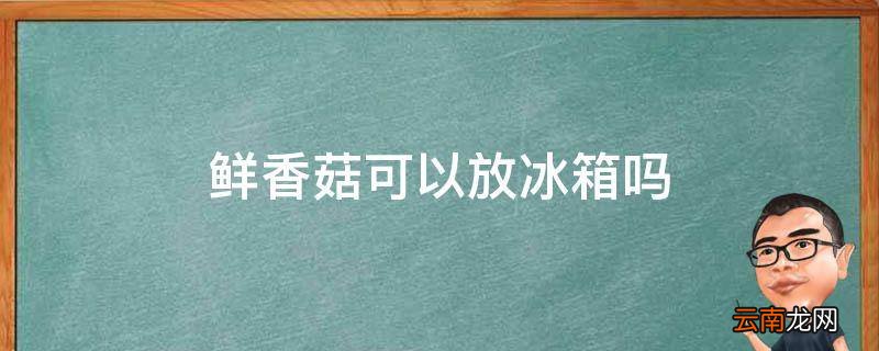 鲜香菇可以放冰箱吗