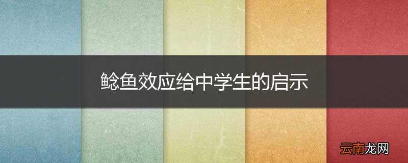 鲶鱼效应给中学生的启示