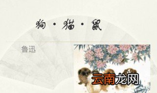 狗猫鼠主要内容概括 狗猫鼠主要内容介绍