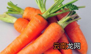 怎样区分胡萝卜是白色芽还是发霉 如何区分胡萝卜是白色芽还是发霉