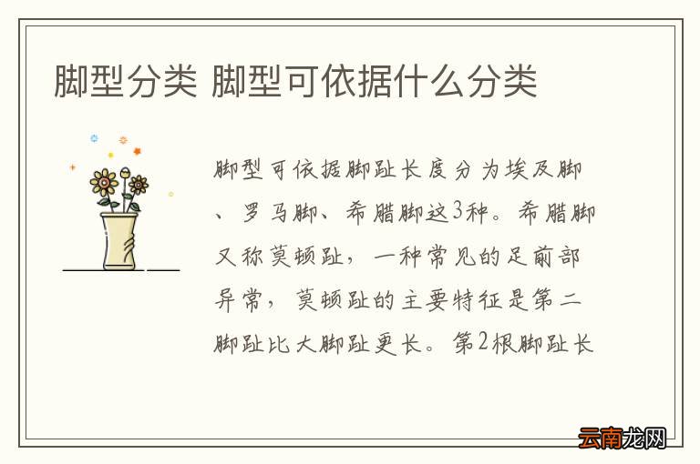 脚型分类 脚型可依据什么分类