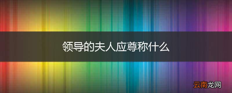 领导的夫人应尊称什么