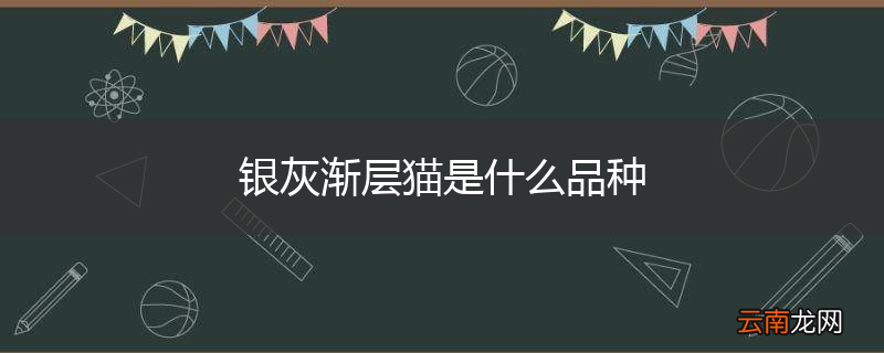 银灰渐层猫是什么品种