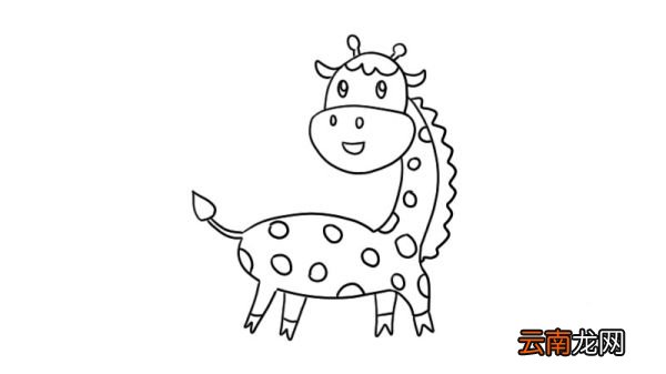 长颈鹿简笔画 长颈鹿的画法