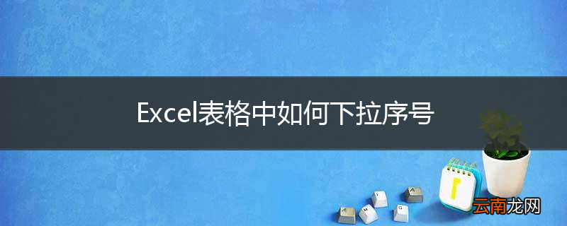 Excel表格中如何下拉序号