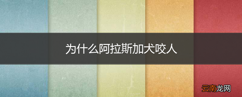 为什么阿拉斯加犬咬人