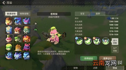 海岛纪元香蕉小猴在哪 海岛纪元香蕉小猴捕捉攻略