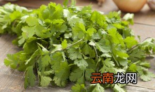 家里怎么用水养香菜 在家怎么用水种香菜