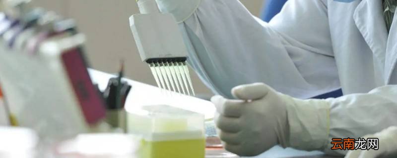 预防医学和检验专业的关系