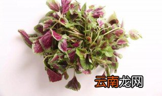 凉拌苋菜怎么做好吃 制作凉拌苋菜的方法
