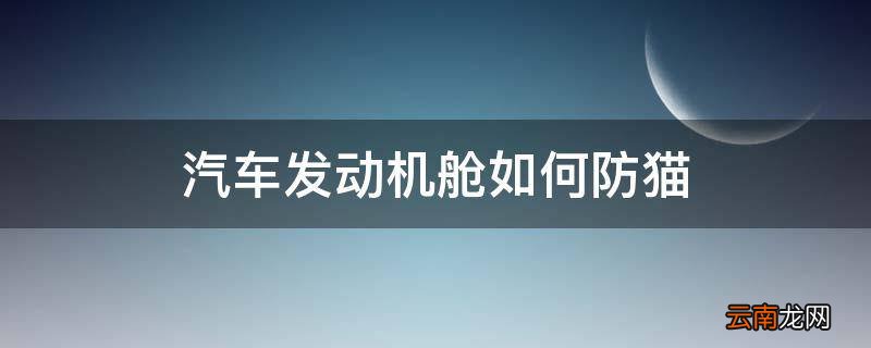 汽车发动机舱如何防猫