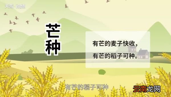 芒种节气的含义 24节气中的芒种的含义是什么