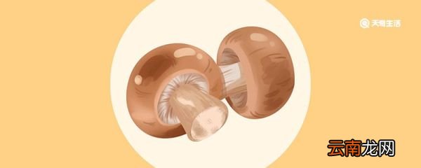 干香菇泡多久 干香菇需要泡多久