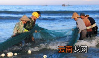 鱼肝油乳制备方法 鱼肝油乳制备的方法