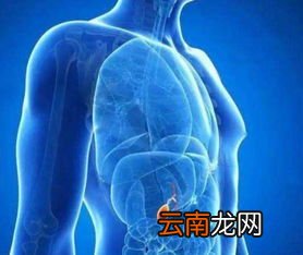 肚皮溶栓针能导致急性胆囊炎吗,胆囊炎这病历害吗?