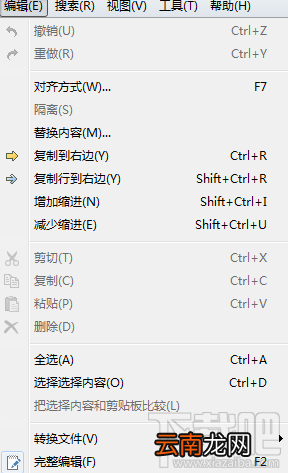 Beyond Compare 文本比较菜单简介