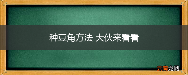 种豆角方法 大伙来看看