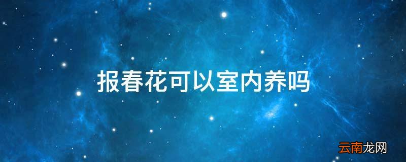 报春花可以室内养吗
