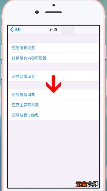 苹果手机中清除输入法记忆具体操作方法