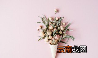 花干是什么做的 什么是花干