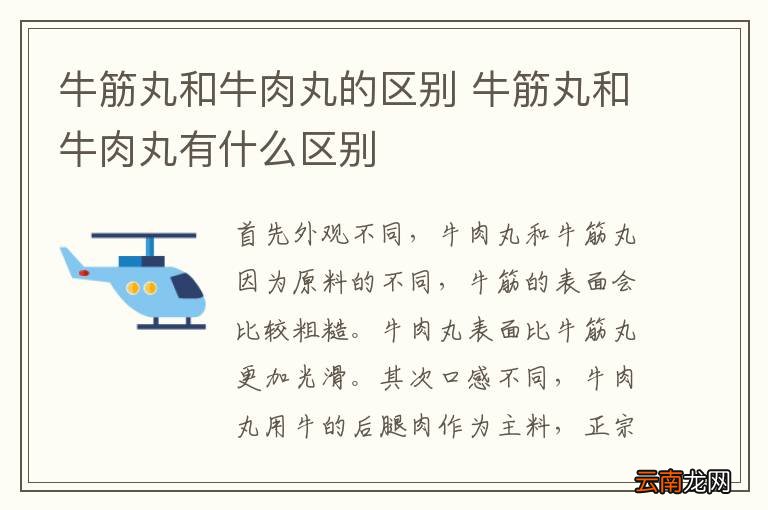 牛筋丸和牛肉丸的区别 牛筋丸和牛肉丸有什么区别