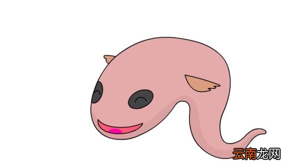 娃娃鱼简笔画 娃娃鱼的画法