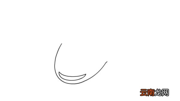 娃娃鱼简笔画 娃娃鱼的画法