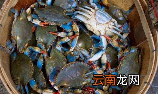 毛蟹怎样储存 如何保存毛蟹