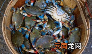咸蟹怎样储存 如何保存咸蟹