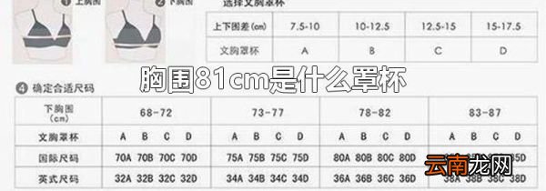 胸围81cm是什么罩杯