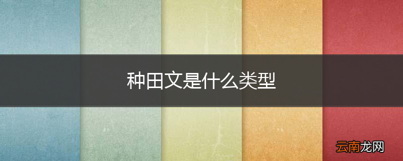种田文是什么类型