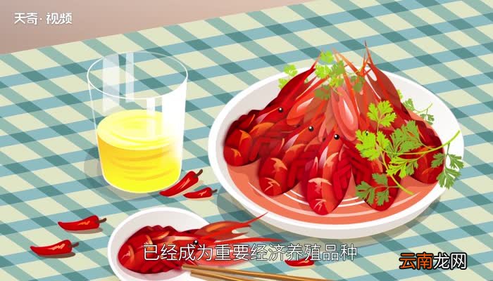 小龙虾能吃吗 小龙虾真的不能吃吗