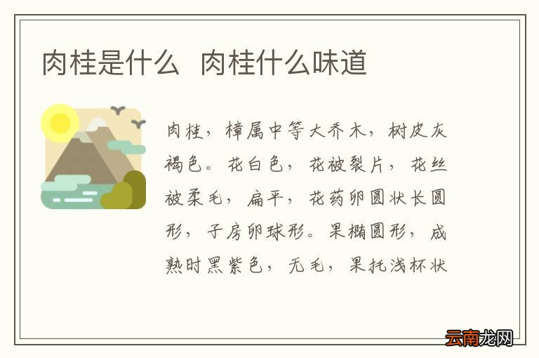 肉桂是什么肉桂什么味道