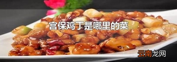 宫保鸡丁是哪里的菜
