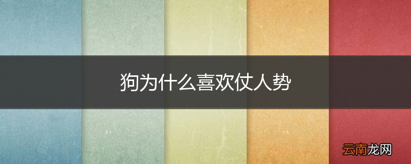 狗为什么喜欢仗人势