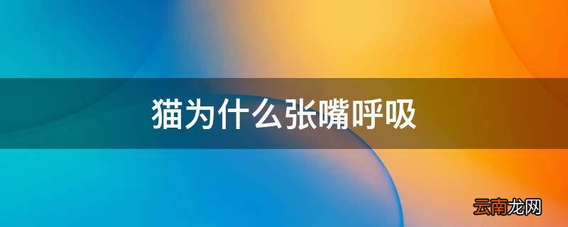 猫为什么张嘴呼吸