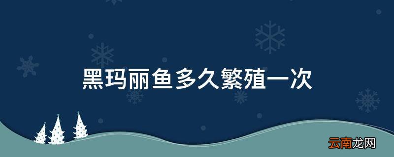 黑玛丽鱼多久繁殖一次