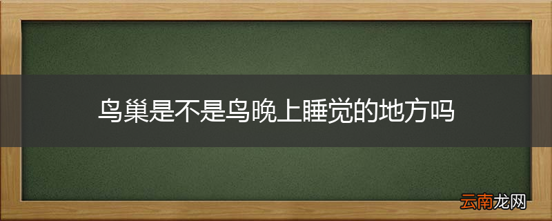 鸟巢是不是鸟晚上睡觉的地方吗