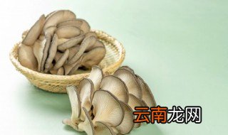 黑色菌类应该怎样储存 新鲜黑色菌类蘑菇应该如何保存