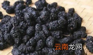 新鲜桑葚与干桑葚的区别 新鲜桑葚与干桑葚有什么区别